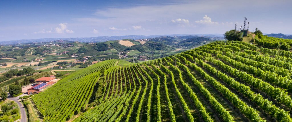 territorio roero cantina bric castelvej