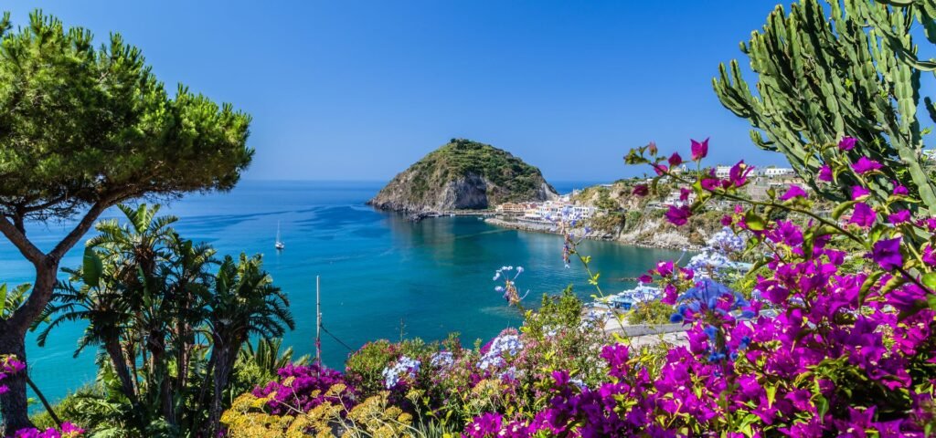 Immagine dell'isola di Ischia con mare e vegetazione